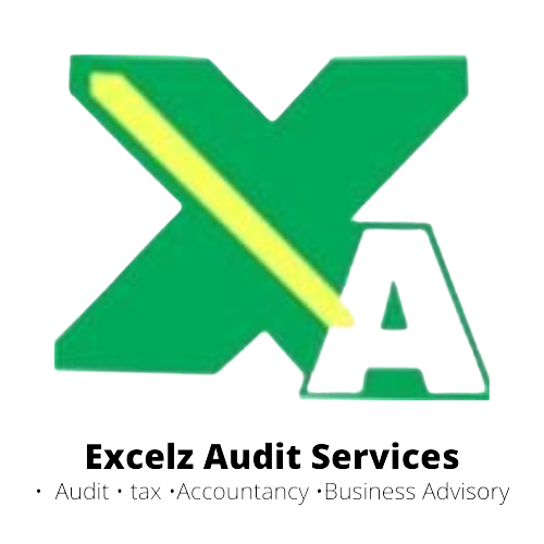 excelzaudit.com